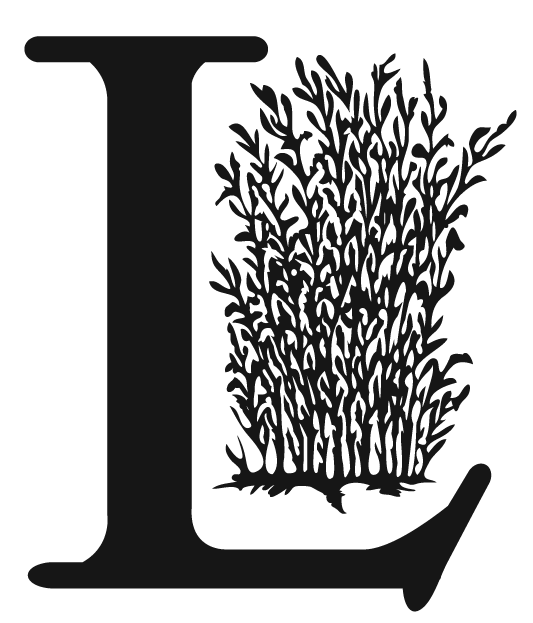 Lyngblomsten Logo