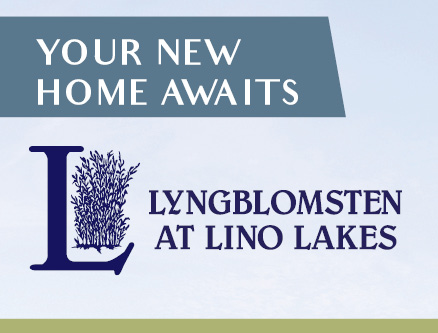 Lino Lakes image